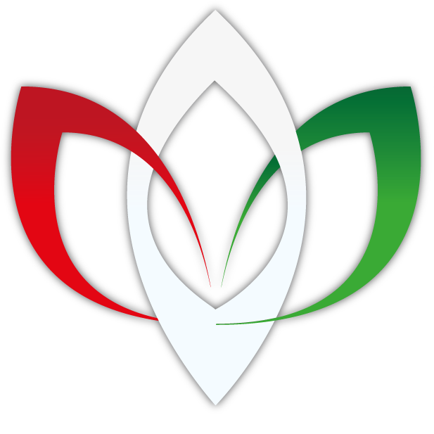 Благодійний фонд За Закарпатський угорський інститут